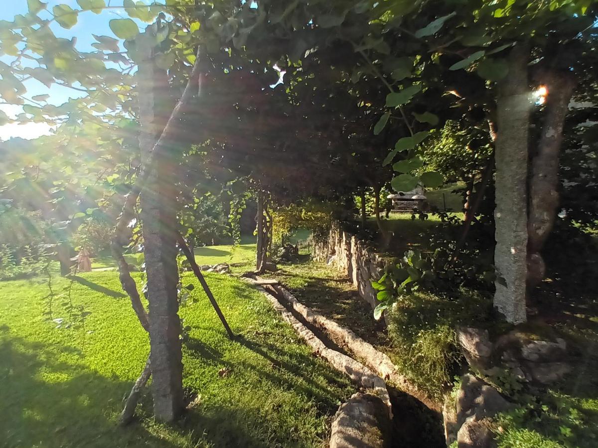 Quinta Da Chanca Паредиш-ди-Кора Экстерьер фото