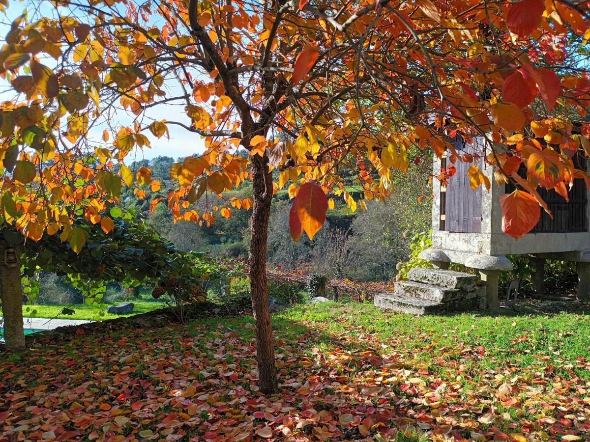 Quinta Da Chanca Паредиш-ди-Кора Экстерьер фото
